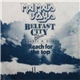 Mama's Boys - Belfast City Blues