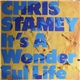 Chris Stamey - It's A Wonderful Life